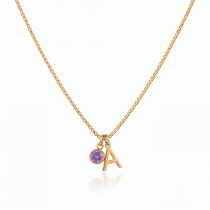 Birthstone Initial Necklace
